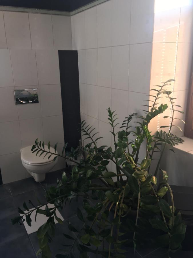 Penzion A Pivnice Varna Velká Bystřice 外观 照片