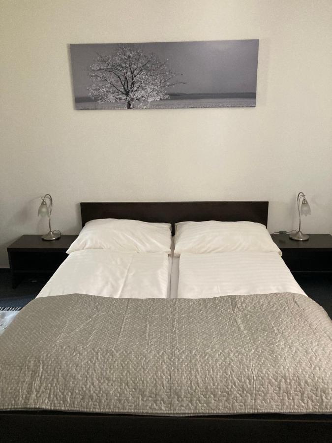 Penzion A Pivnice Varna Velká Bystřice 外观 照片